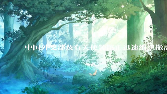 中国外交部及有关使领馆正迅速组织撤离在以、伊的中国公民，目前当地情况如何？