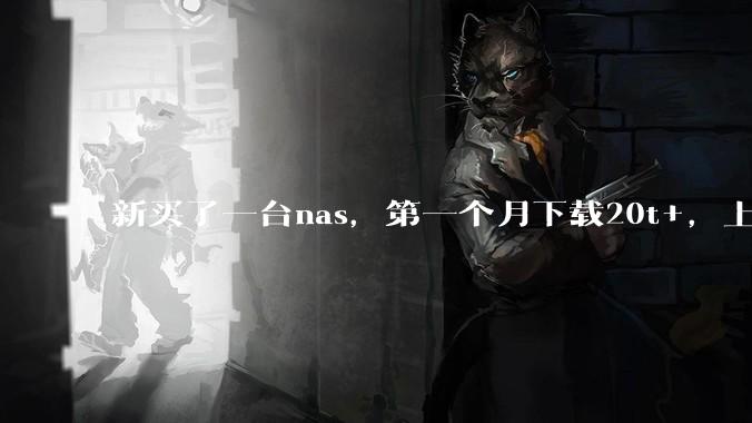 新买了一台nas，第一个月下载20t+，上传5+，不会被网警盯上吧?