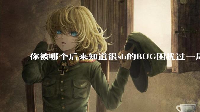 你被哪个后来知道很sb的BUG困扰过一周以上吗？
