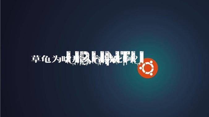 草龟为啥那么容易死啊？