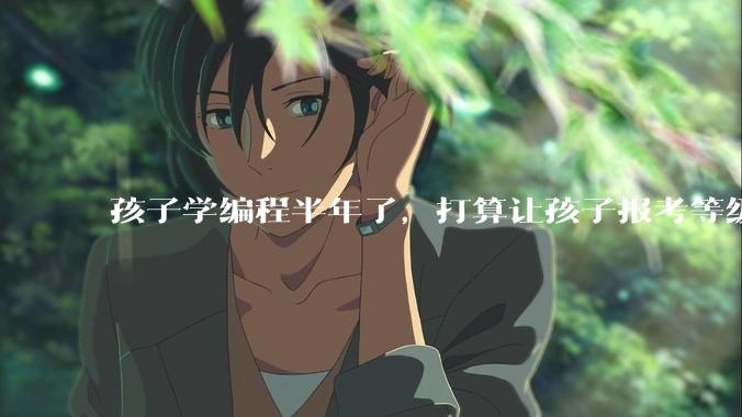 孩子学编程半年了，打算让孩子报考等级考试，大家觉得等级考试证书有用吗？