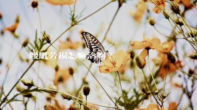 腰肌劳损怎嘛治啊?